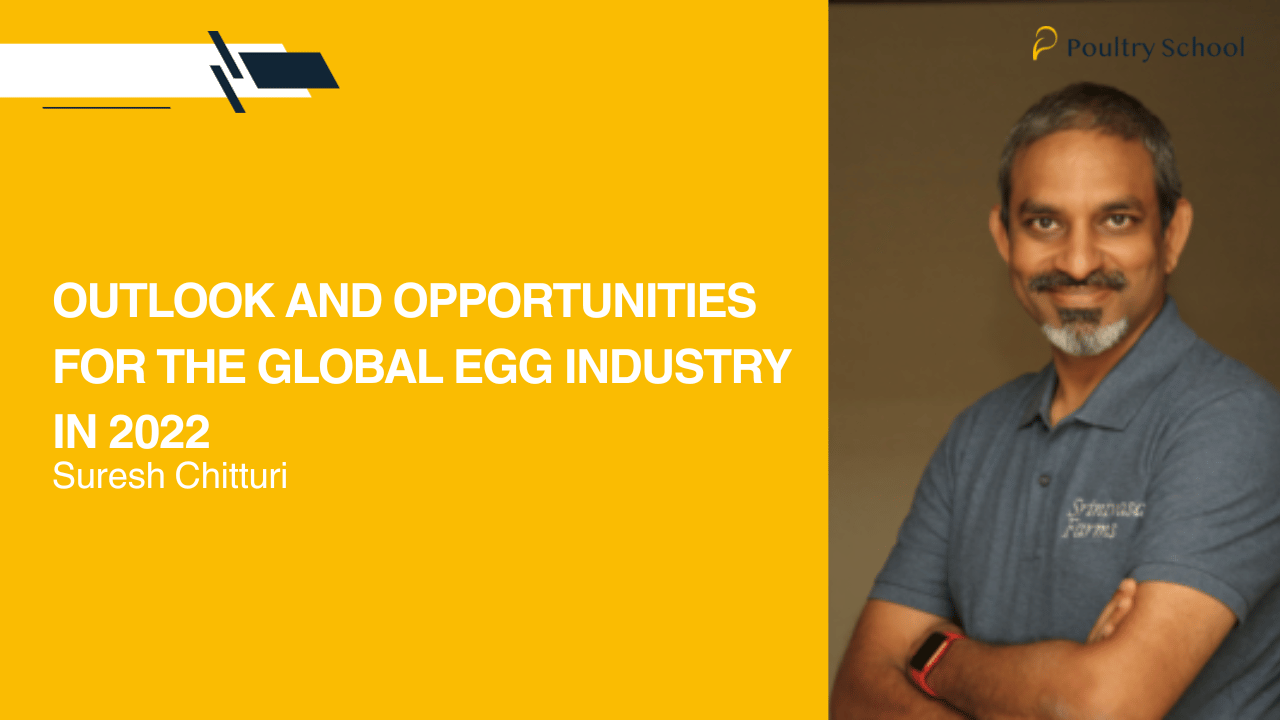 OUTLOOK AND OPPORTUNITIES FOR THE GLOBAL EGG INDUSTRY IN 2022 - Suresh Chitturi