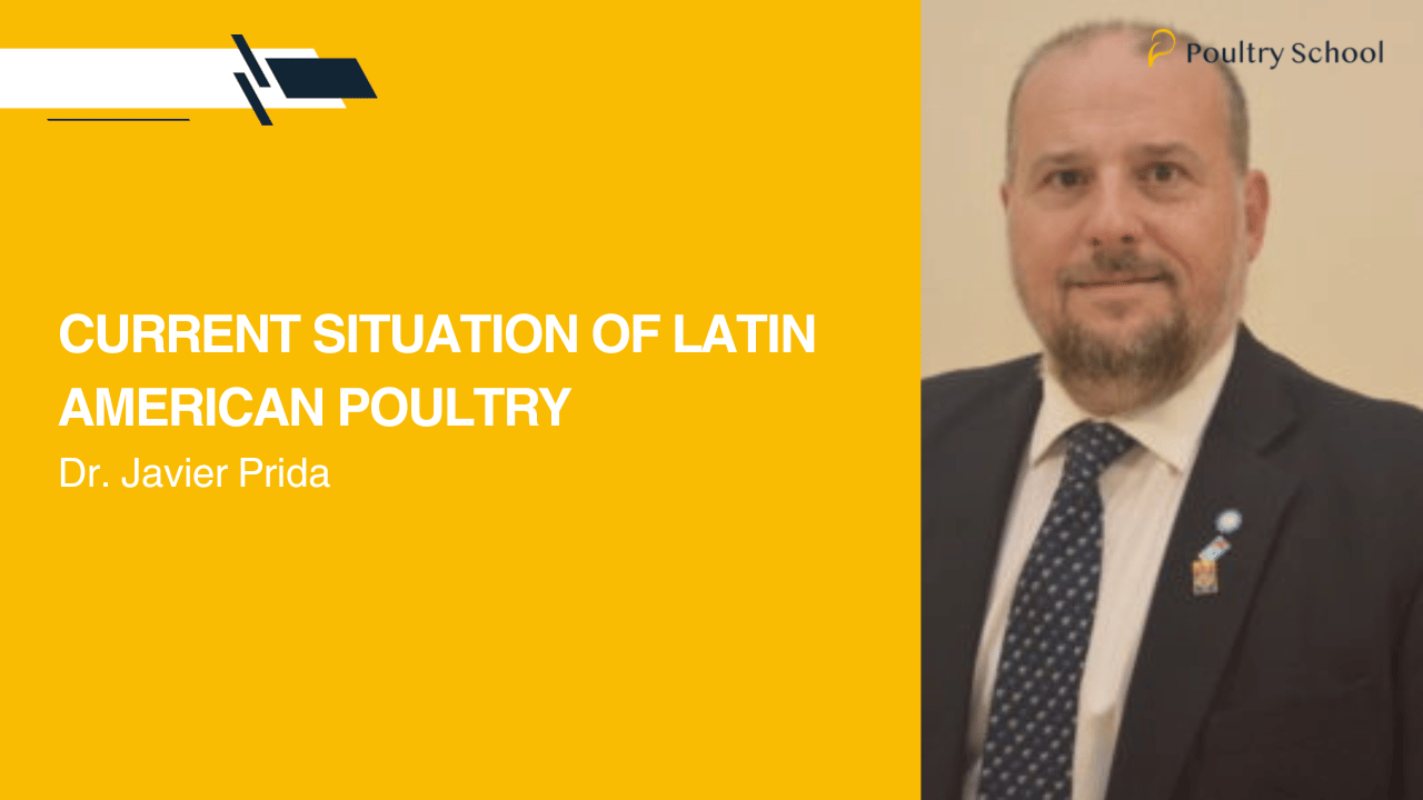 CURRENT SITUATION OF LATIN AMERICAN POULTRY - DR. JAVIER PRIDA 