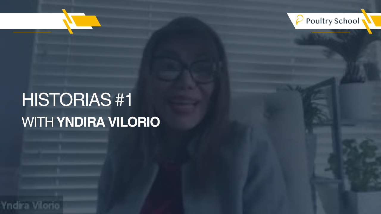 Historias #1 Yndira Vilorio