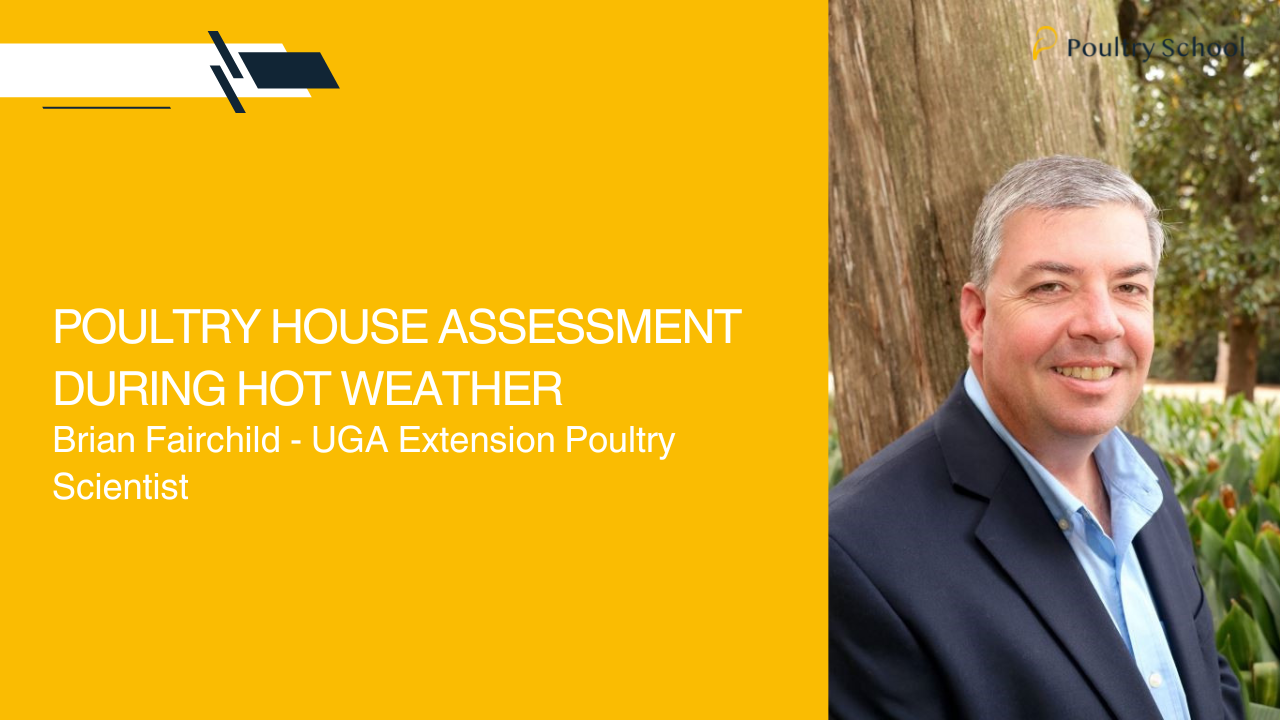 POULTRY HOUSE ASSESSMENT DURING HOT WEATHER