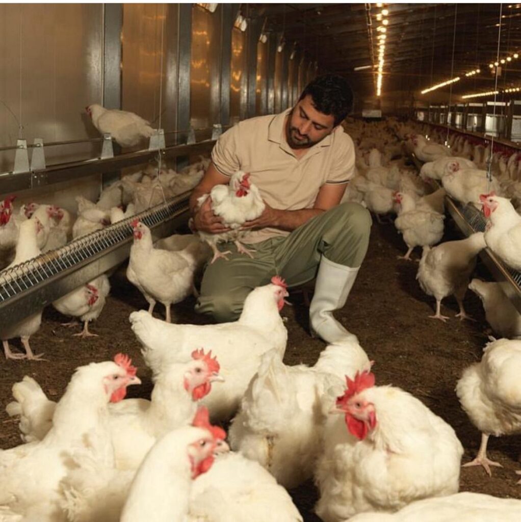 Saudi Arabia Poultry Industry