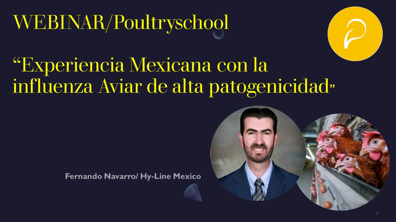 EXPERIENCIA MEXICANA CON LA INFLUENZA AVIAR DE ALTA PATOGENICIDAD