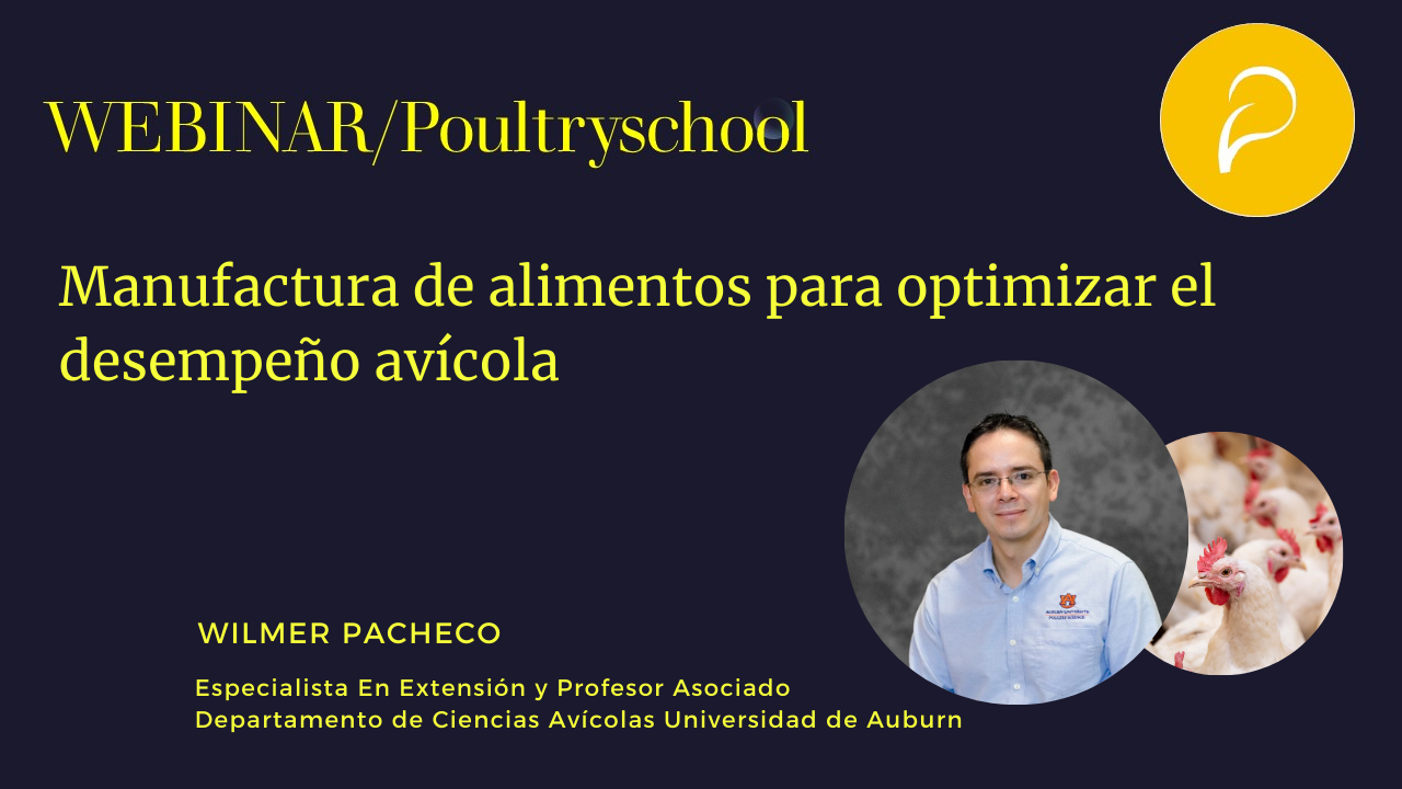 Manufactura de Alimentos para Optimizar el Desempeño Avícola - Wilmer Pacheco