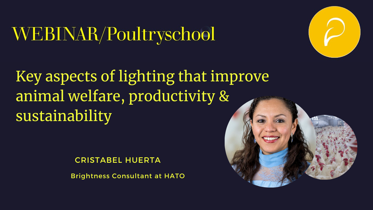 Key Aspects of Lighting that Improve Animal Welfare, Productivity & Sustainability - Cristabel Huerta