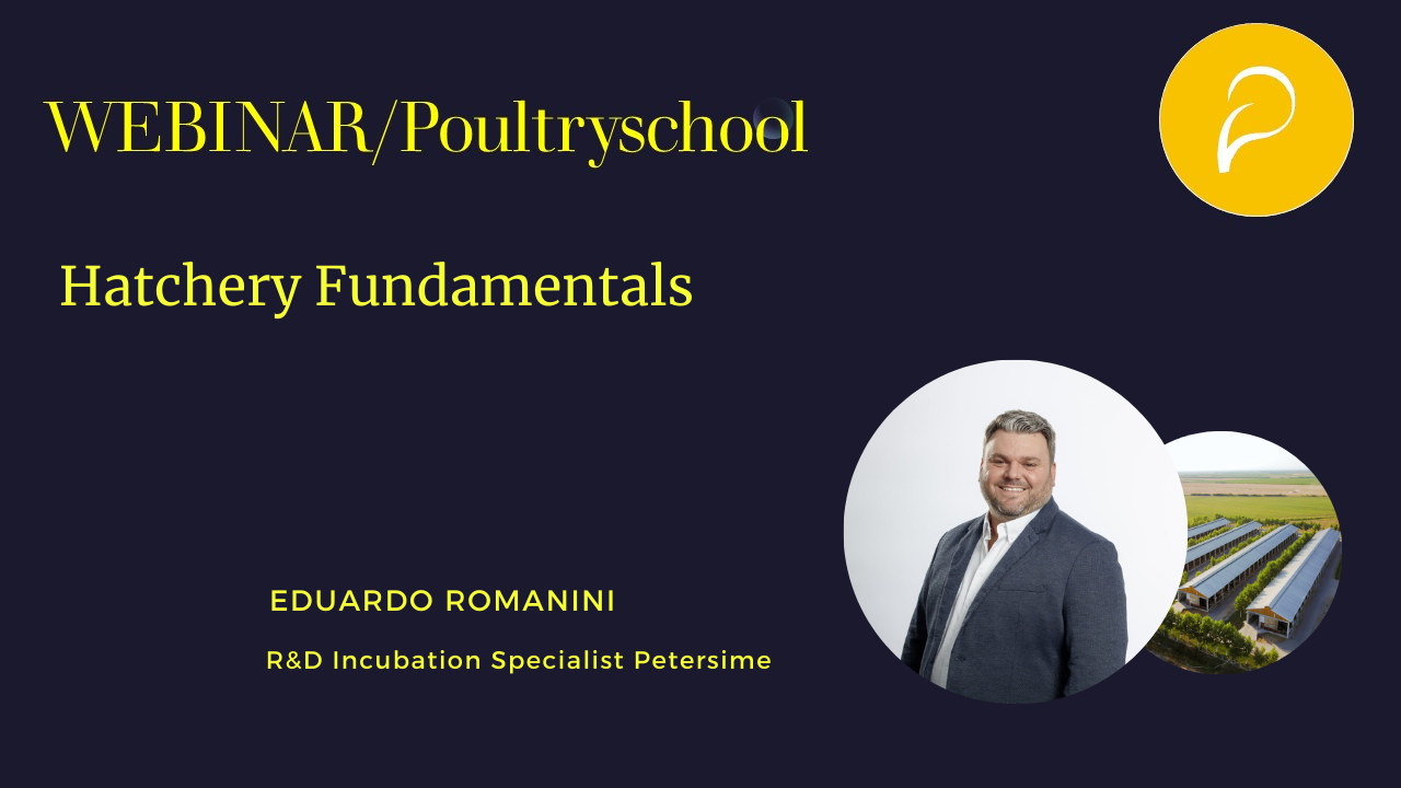 Hatchery Fundamentals - Eduardo Romanini