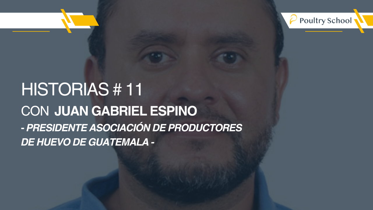 Historias #11 con Gabriel Espino - Presidente Asociación de Productores de Huevo de Guatemala