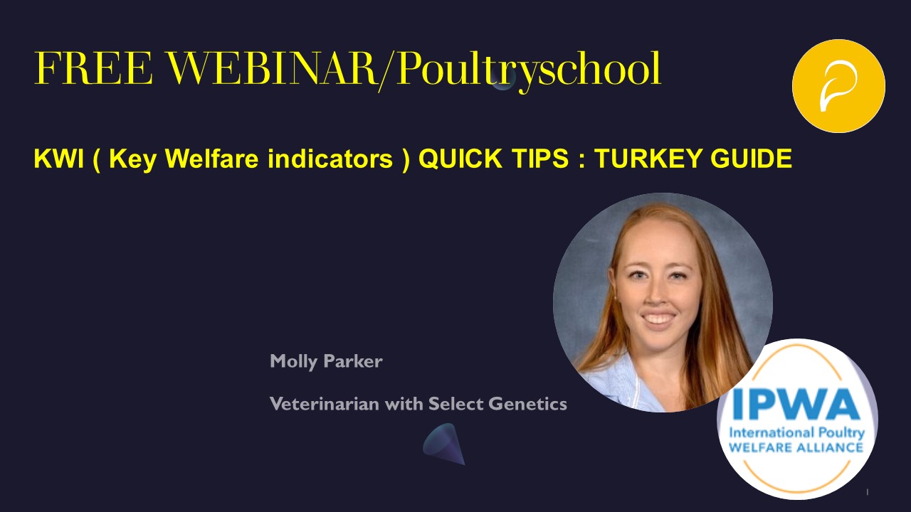 Key Welfare Indicators To Improve Turkey Welfare - Molly Parker