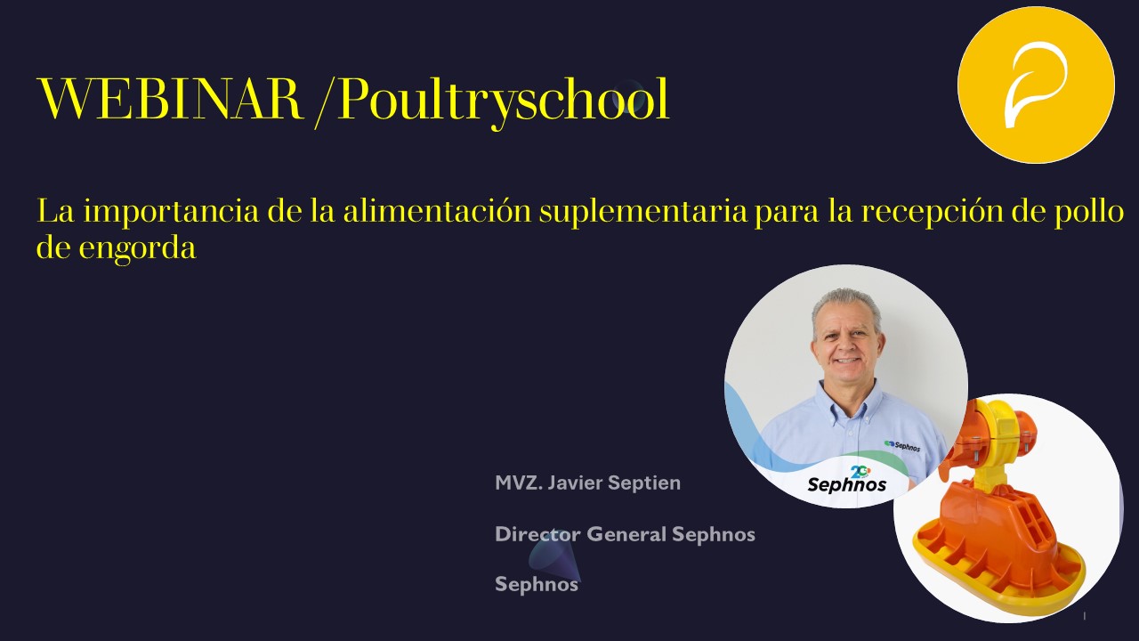 La Importancia De La Alimentación Suplementaria Para La Recepción De Pollo De Engorda - MVZ. Javier Septien