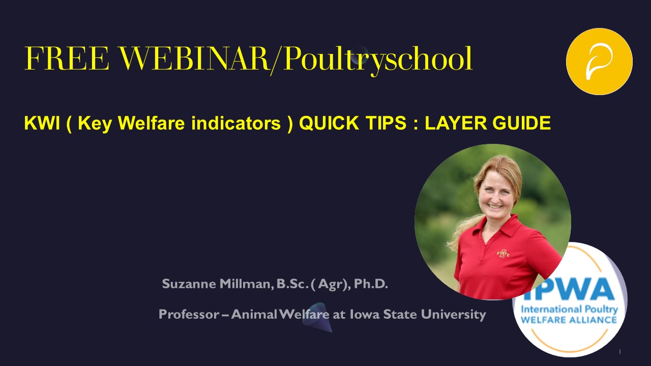 Key Welfare Indicators - Quick Tips: Layer Guides - Suzanne Millman