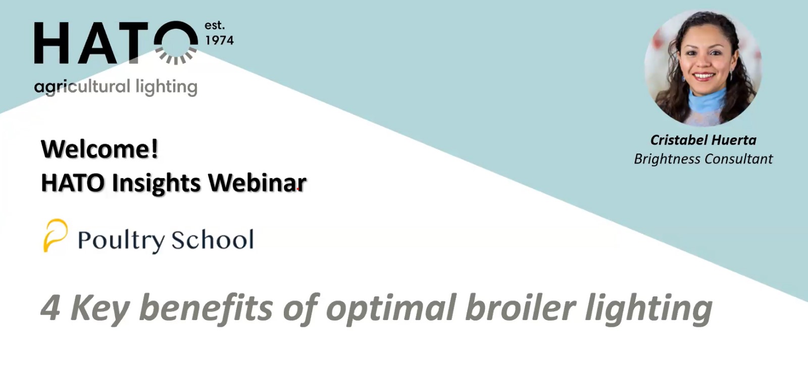 4 Key Benefits Of Optimal Broiler Lighting - Cristabel Huerta