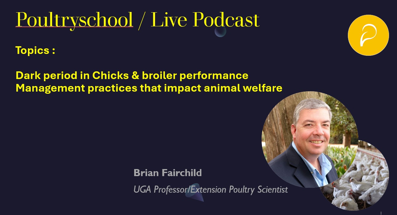 Dark Period In Chicks & Broiler Performance Management Practices - Dr. Brian Fairchild