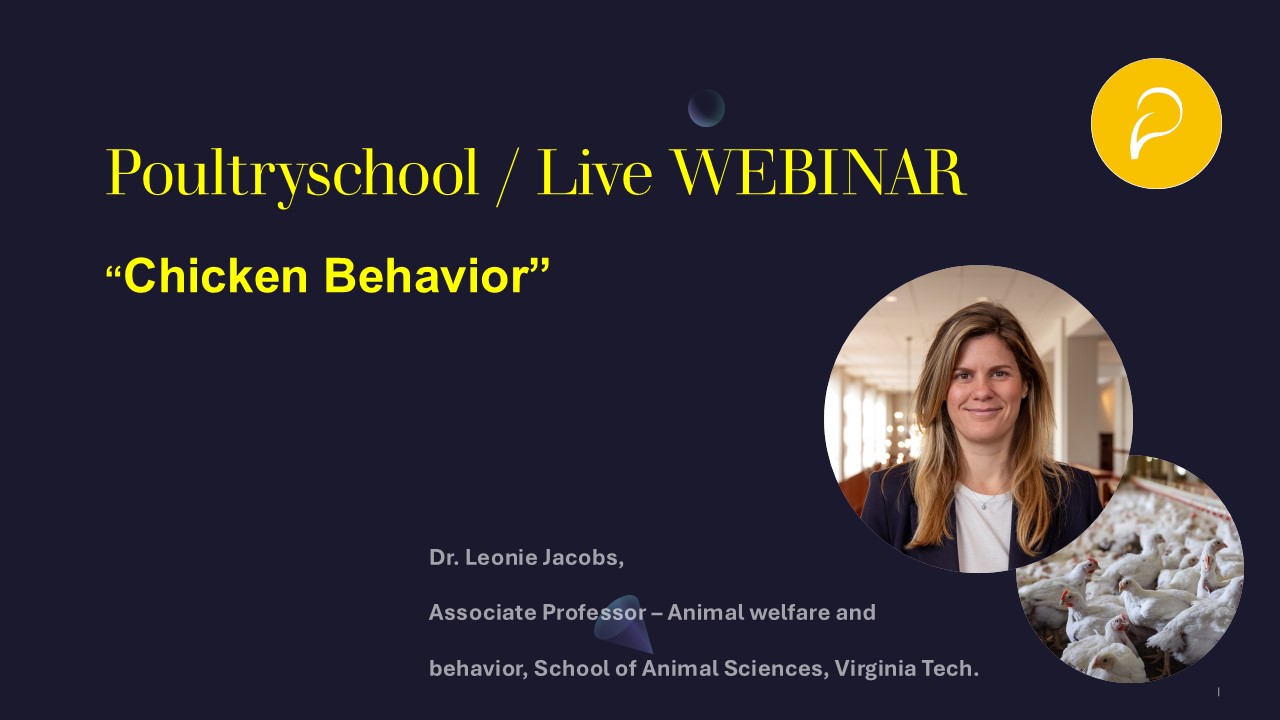 Chicken Behavior - Dr. Leonie Jacobs