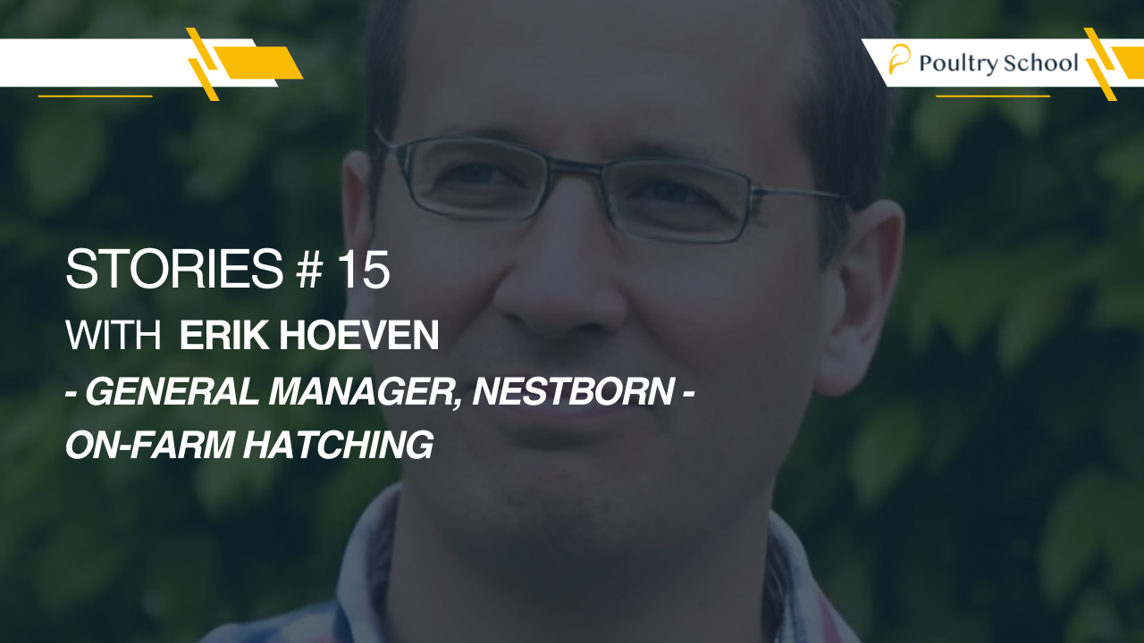 Stories #15 With Erik Hoeven