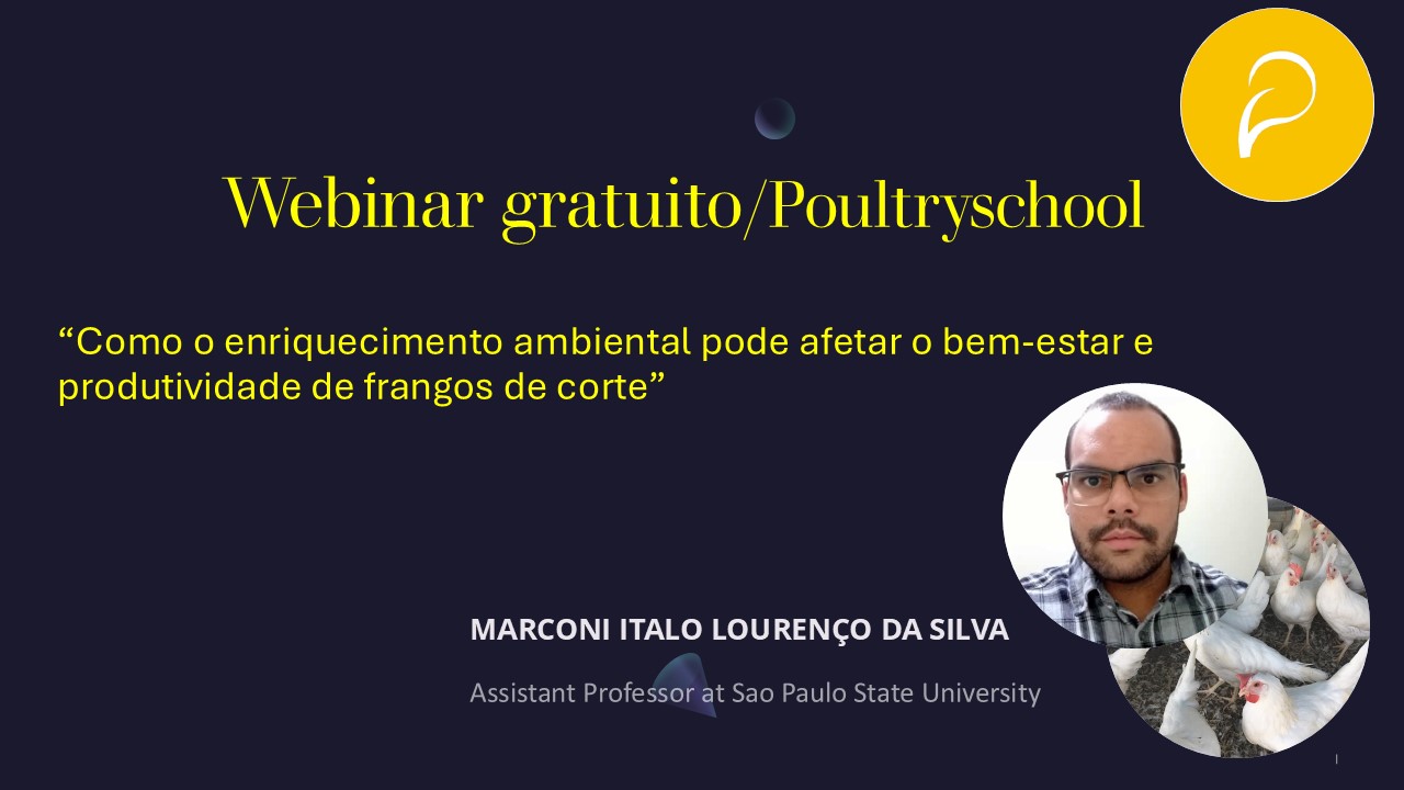 El Enriquecimiento Ambiental Y Cómo Afecta El Bienestar Y Productividad De Pollos - Marconi Italo