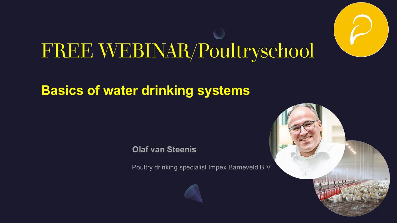 Basics Of Water Drinking Systems - Olaf Van Steeins