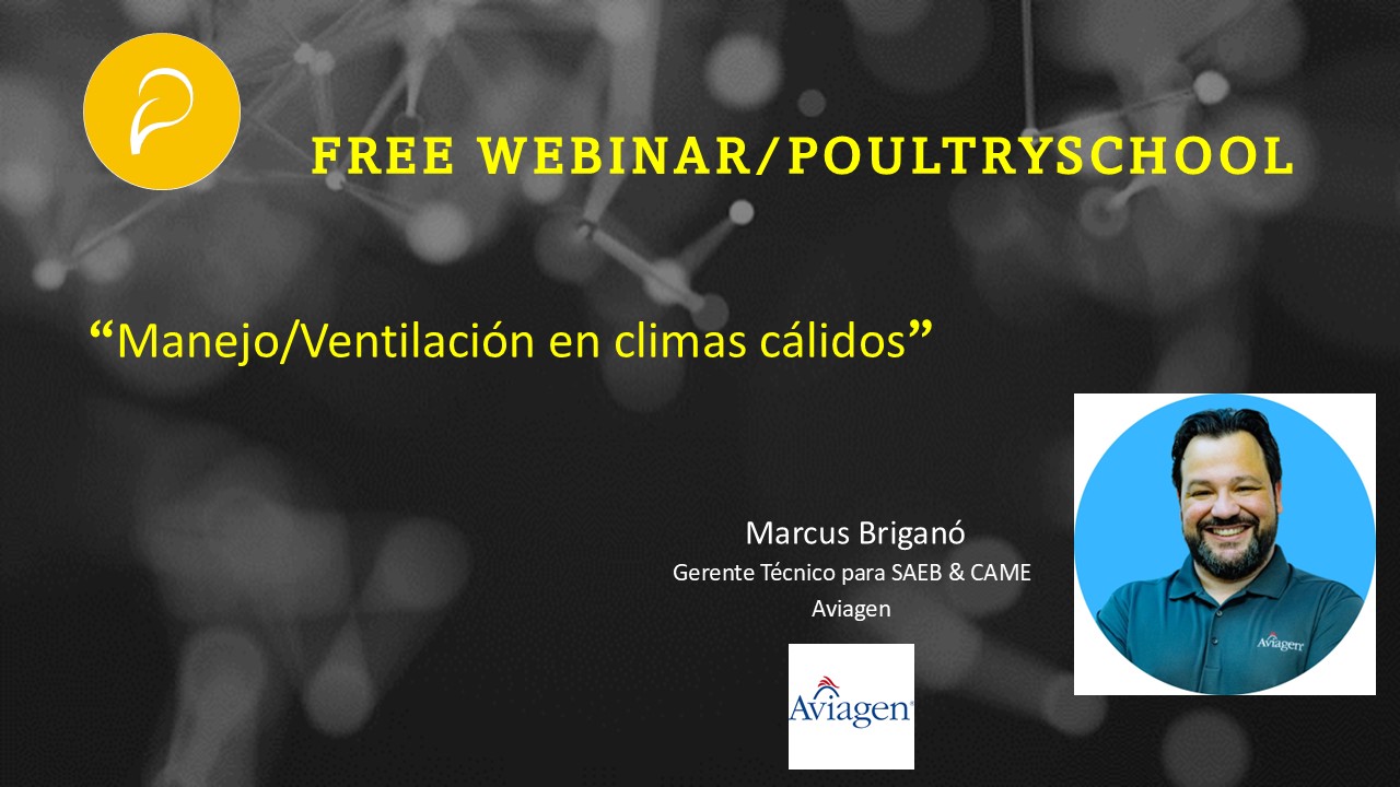 Manejo / Ventilación En Climas Cálidos - Marcus Briganó