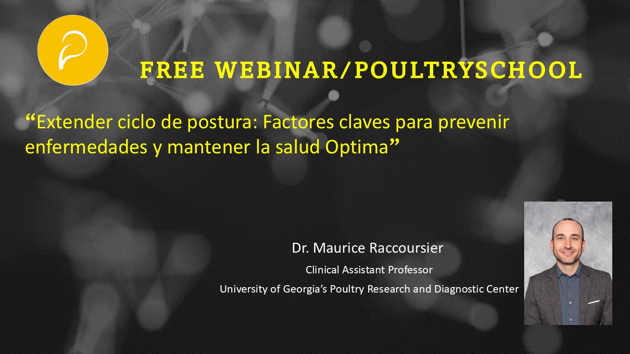 Factores Clave Para Prevenir Enfermedades Y Mantener La Salud Optima - Maurice Raccoursier