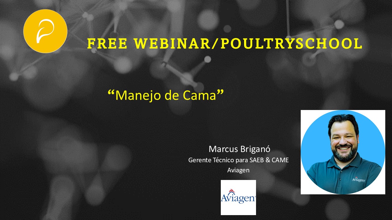 Manejo De Cama Y Control De Alphitobius D. En Granjas De Pollo - Marcus Briganó