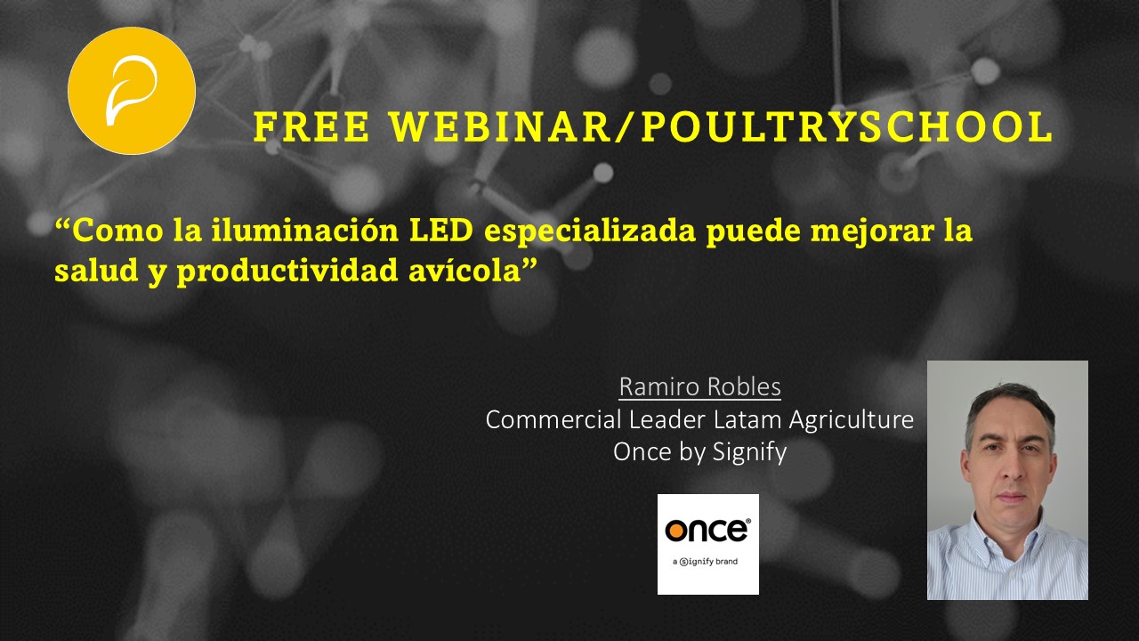 Cómo La Iluminación LED Especializada Puede Mejorar La Salud y Productividad Avícola - Ramiro Robles