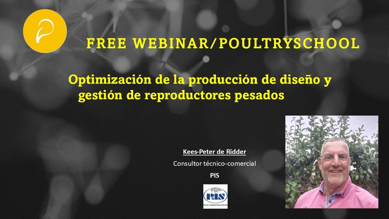 Optimización de la Producción de Diseño y Gestión de Reproductores Pesados  - Kees Peter de Ridder