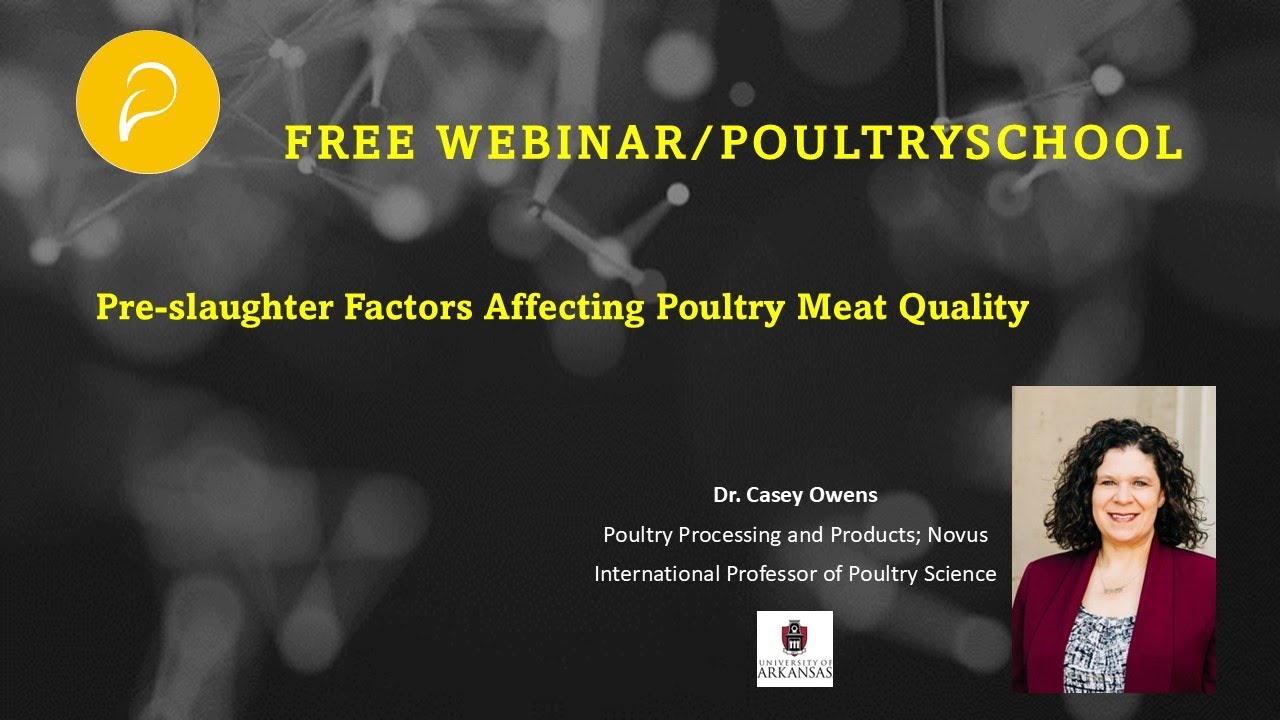 Pre-slaughter Factors Affecting Poultry Meat Quality - Dr. Casey Owens