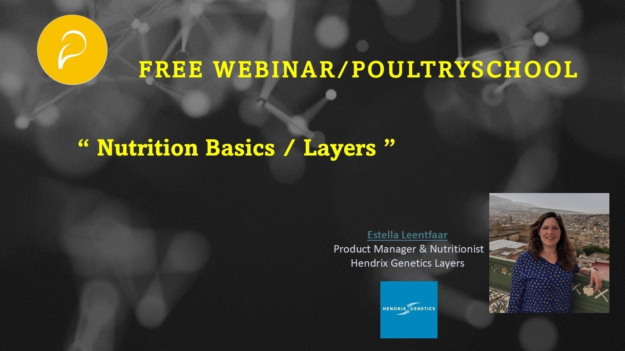 Nutrition Basics / Layers - Estella Leentfaar