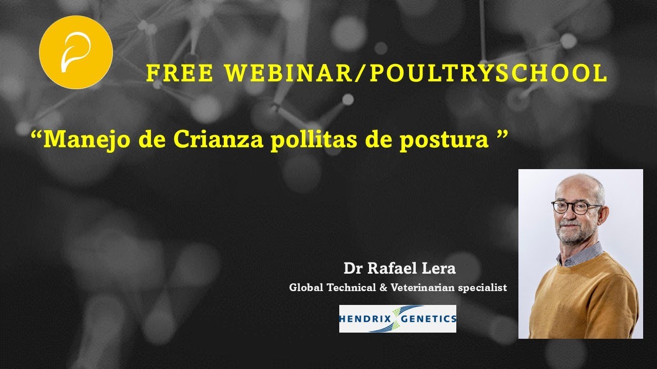 Manejo De Crianza En Pollitas De Postura - Rafael Lera García