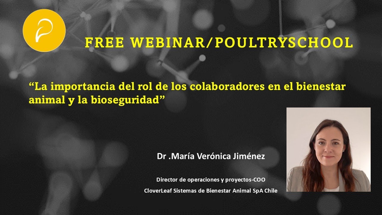 Importancia Del Rol De Los Colaboradores En Bienestar Animal- Dr. María Verónica Jiménez