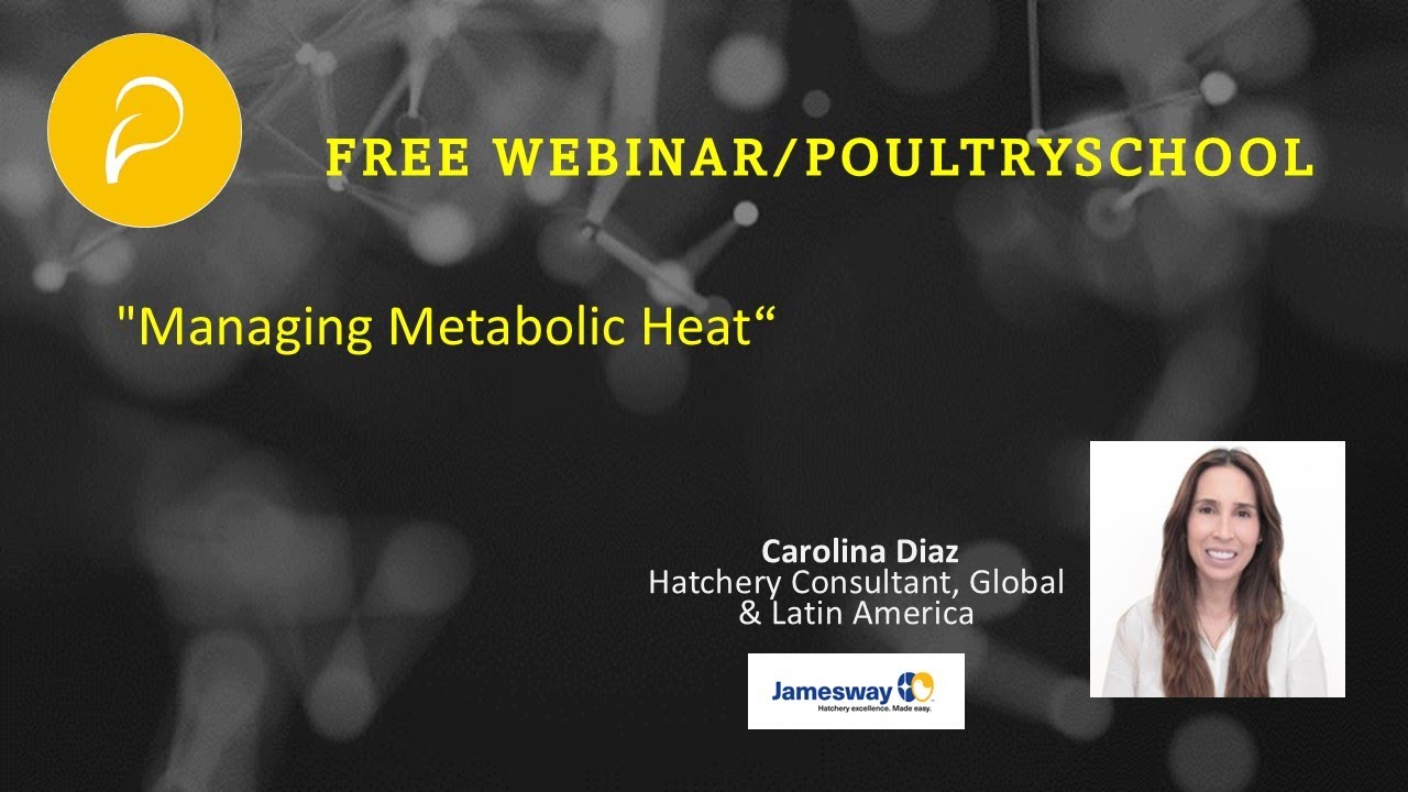 Managing Metabolic Heat - Carolina Diaz